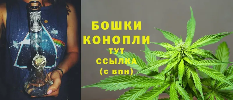 Конопля OG Kush  закладки  Бородино 